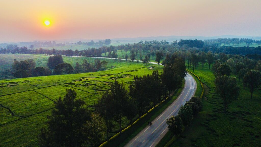 PHOTO-2025-04-18-16-04-46 2